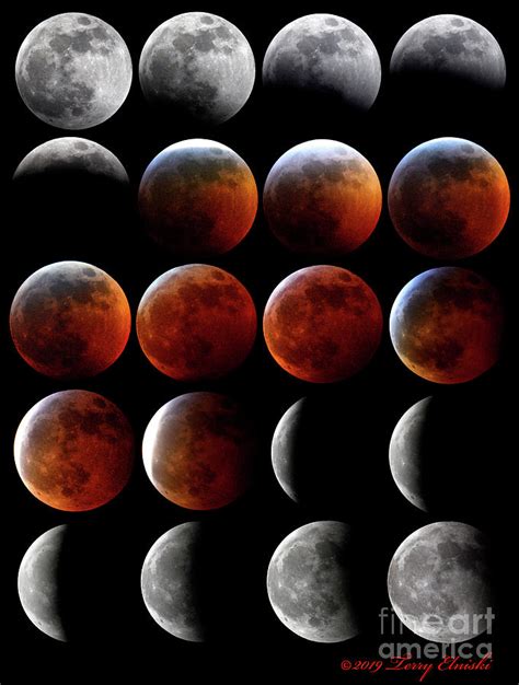 Super Wolf Blood Moon Lunar Eclipse January 20 2019 Photograph By