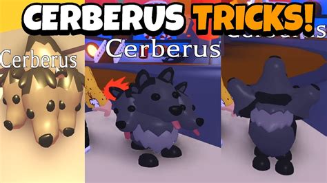 New Cerberus Tricks In Adopt Me Roblox Youtube