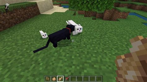 How To Breed Cats In Minecraft Gamepur