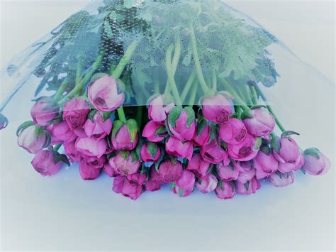 Pay your flowers sanitation services bill online with doxo, pay with a credit card, debit card, or direct from your bank account. SPRINGFIELD FLOWERS