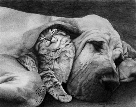 40 Beautiful And Realistic Animal Sketches For Your Inspiration