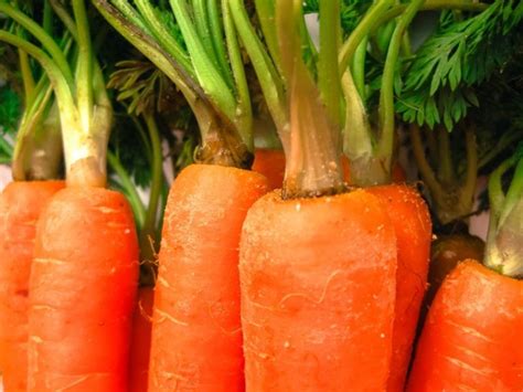 แคร์รอต (Carrot) ประโยชน์และสรรพคุณ