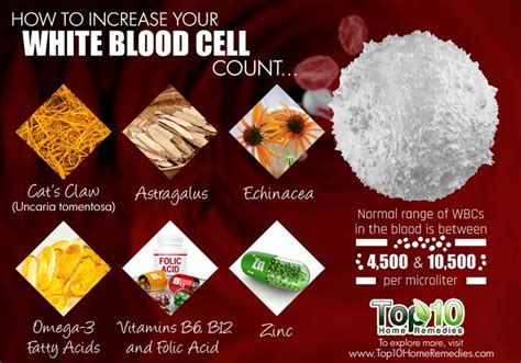 Normal white blood cell counts vary between different laboratories but generally range from. how to increase white blood cell count | White blood cell ...