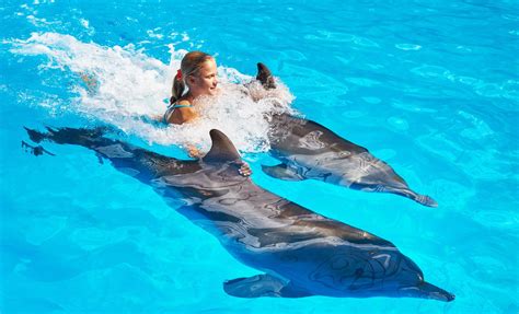 Nasasu Dolphin Swim Along Adventure And Island Cruise Tour