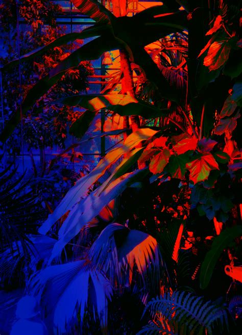 Sunset light on Behance