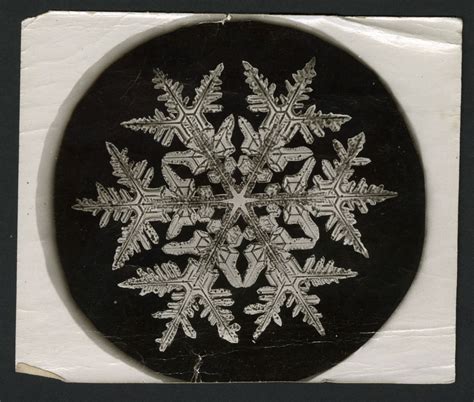 How Historys First Photos Of Snowflakes Were Made Cnn