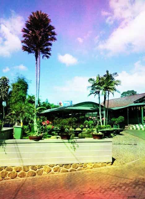 Bakpao Telo Malang - 1001malam.com