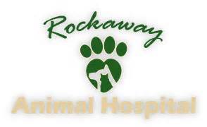 3009 state route 10 morris plains, nj. Rockaway Animal Hospital - Home