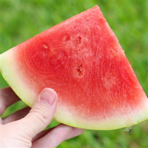 How To Pick A Good Watermelon Tips Tricks Lil Luna