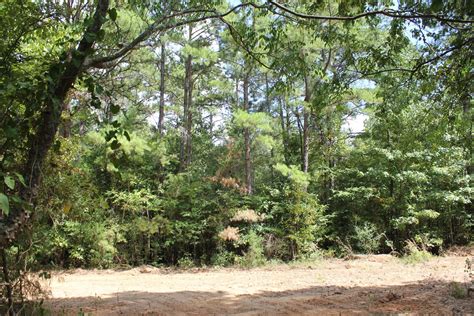 46 Acres, Henderson, TX 75652 | Land and Farm