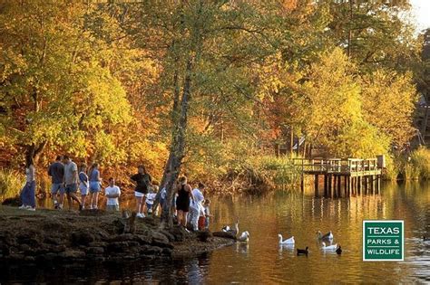 Set up camp under the tall trees of northeast texas. Tyler State Park in east Texas is known for its beautiful ...