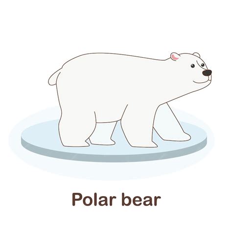 Premium Vector Vocabulary Flash Card For Kids Polar Bear With