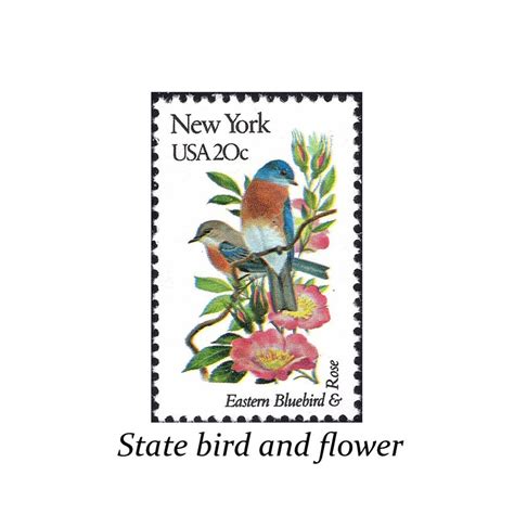 Five 20c New York State Bird And Flower Stamps Vintage Etsy
