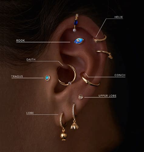 Ear Piercing Guide Picture