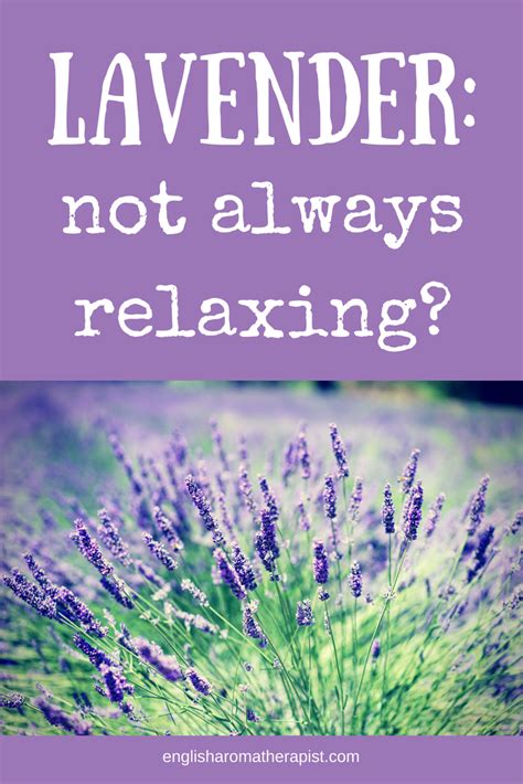 Lavender Is Generally Considered To Be A Relaxing Essential Oil But
