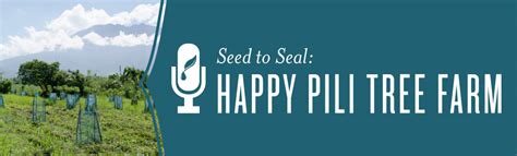 On november 2017, happy living moved to a new home and opened its tasting room to answer every wine drinker's needs. Seed to Seal: Happy Pili Tree Farm | Young Living ...