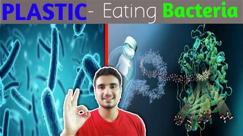 Plastic Eating Bacteria In Hindi Bacteria That Eats Plastic Youtube