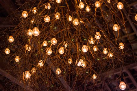 Free Images Light Night Sparkler Lighting Christmas Tree