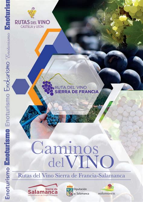 Caminos Del Vino Paquetes Turísticos De La Ruta Del Vino Sierra De