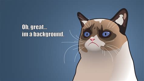 Free Download Grumpy Cat Cartoon Background Hd Wallpaper Of Animals