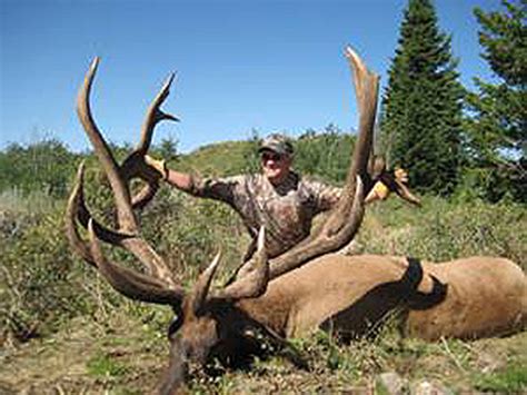 Soon To Be Official World Record Typical Elk Pagosa