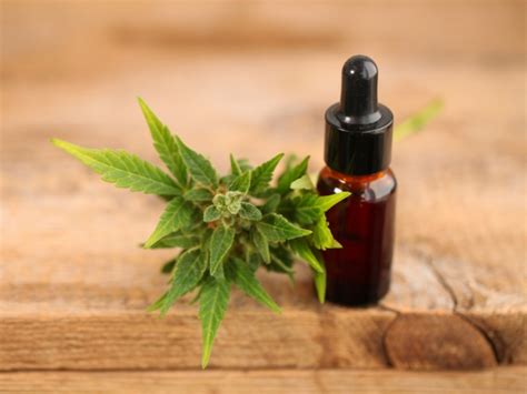 Maybe you would like to learn more about one of these? How to Use CBD Oil for Erectile Dysfunction | CBD Advisors