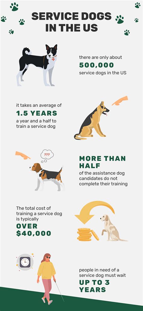 10 Remarkable Service Dog Statistics In 2024 Training Costs And Faq