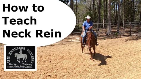 How To Teach A Horse To Neck Rein Youtube