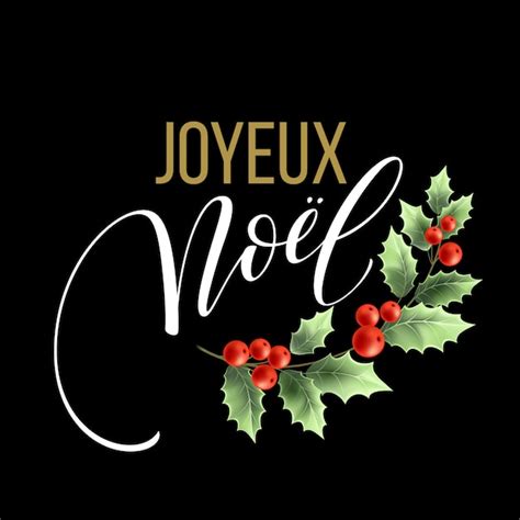 Modelo De Cartão De Feliz Natal Com Saudações Em Língua Francesa