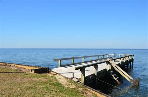 Maybe you would like to learn more about one of these? Santee Cooper Lakes - Marion and Moultrie