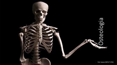 Anatomia Vídeo 2 Osteologia Youtube