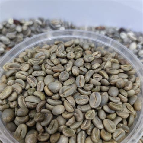 Jual Green Bean Arabica Ijen Natural Commercial Grade Kab Malang KopiKanelop Tokopedia