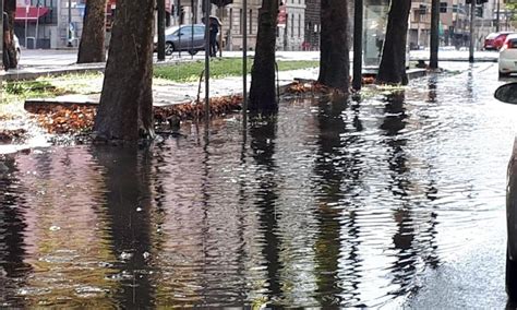 Show larger map of germania. Nubifragio su Milano, esonda il Seveso: strade allagate e ...
