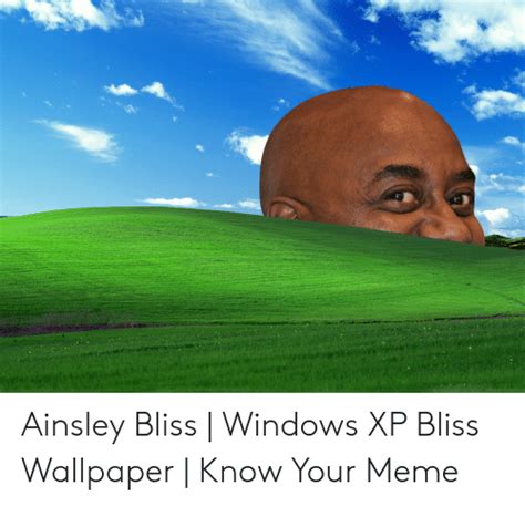 Ainsley Bliss Windows Xp Bliss Wallpaper Know Your Meme Meme On Meme