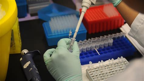 Guidelines Warn Against Racial Categories In Genetic Research The New