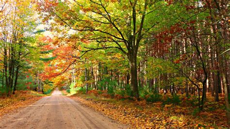 Best Scenic Fall Drives In Michigan In 2022