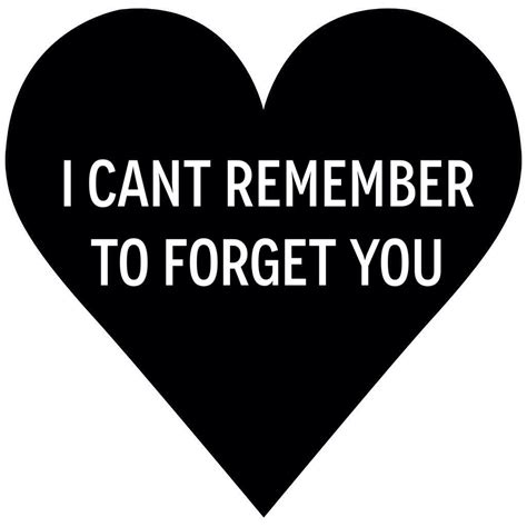 I Can T Remember To Forget You Quotes Words Remember