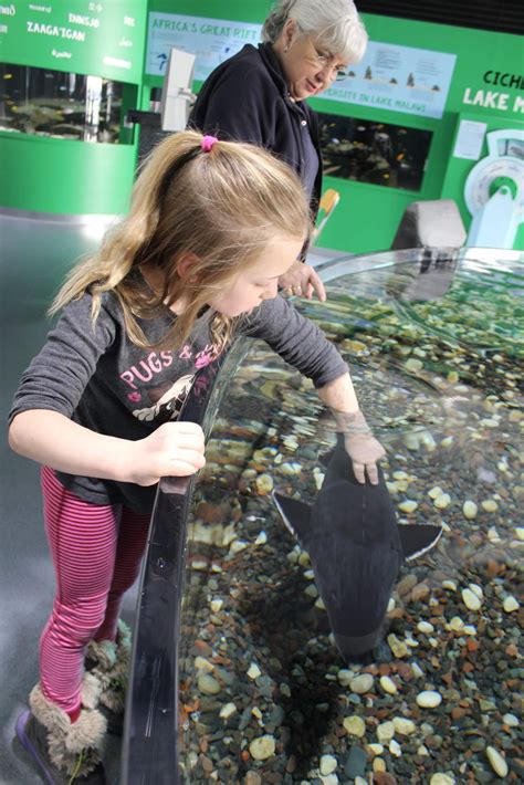 Great Lakes Aquarium Lake Superior Circle Tour