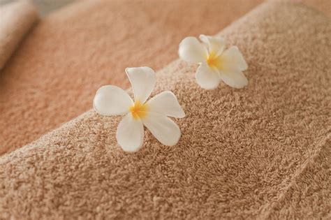 Free Photo Spa Message Massages Relaxation Free Image On Pixabay 686389