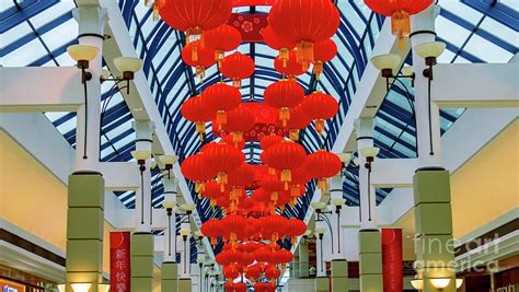 Chinese New Year 3 Photograph By Viktor Birkus Pixels