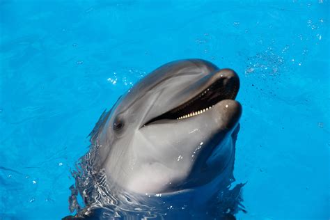 The Byford Dolphin Accident 1983: A Very Interesting Story