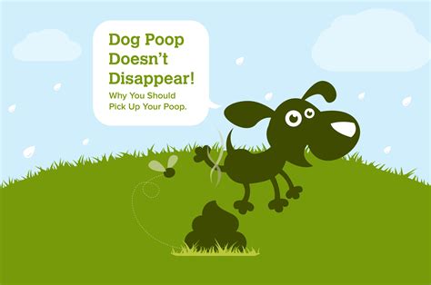 Why You Should Pick Up Your Dogs Poop Earth Rated Blog
