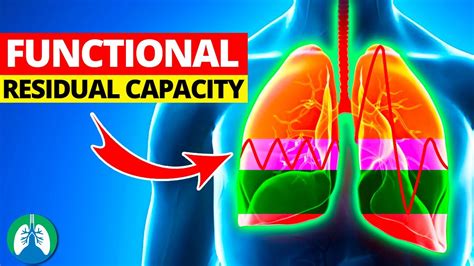 Functional Residual Capacity Frc Quick Explainer Video Youtube