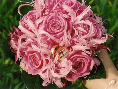 Planter met vetplant voor interieurdecoratie en ontdek meer dan 16 miljoen professionele grafische middelen op freepik roze rozen met nerine | Rozen, Bruidsboeket, Bloemen