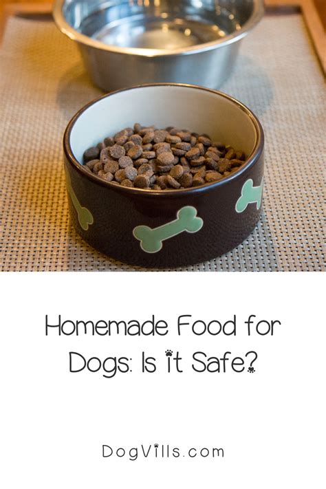 Homemade Food For Dogs An Iffy Recipe At Best Dog Health Tips Dog