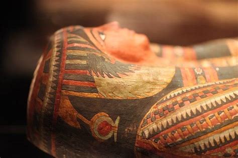 3 000 Year Old Fingerprints Found On Ancient Egyptian Coffin Ak Lander