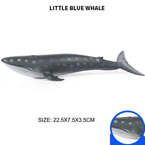 The New Blue Whale Solid Simulation Model Of Marine Animal Whale Toy 22