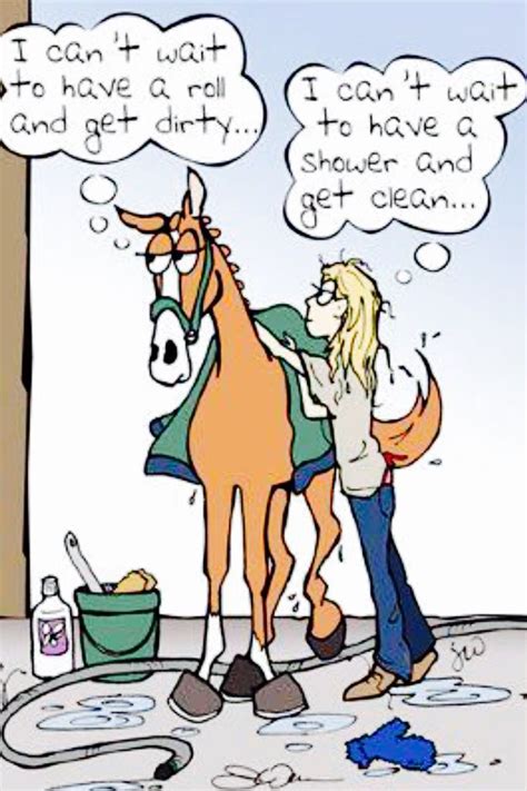 Funny Horse Cartoon Jokes Clip Art Library