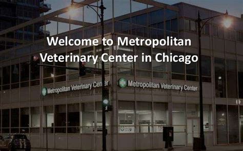 Chicagos Trusted Veterinary Hospital Metropolitan Veterinary Center