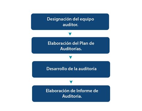 Etapas De La Auditoria Planificacion Auditoria Images